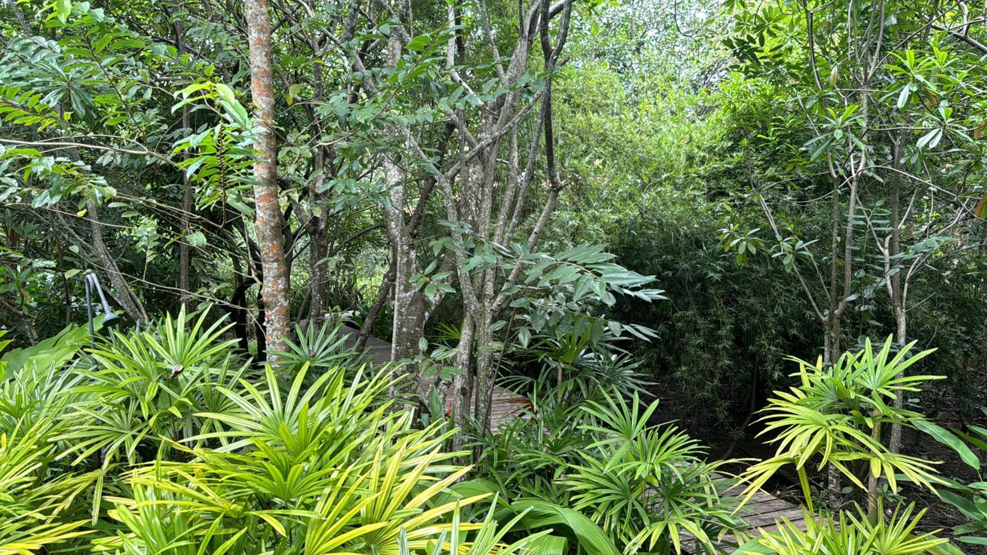 גאלה Ginganga Lodge מראה חיצוני תמונה