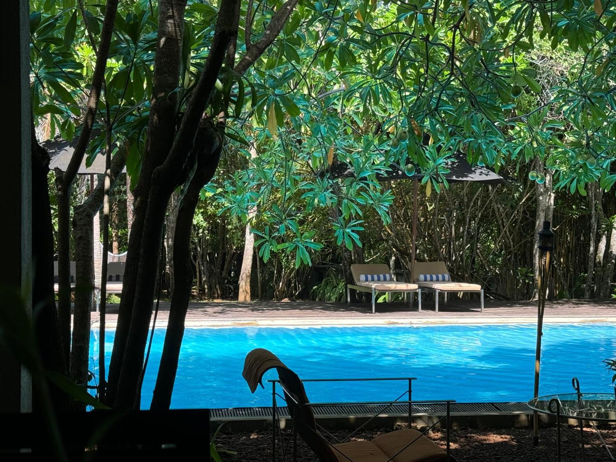 גאלה Ginganga Lodge מראה חיצוני תמונה